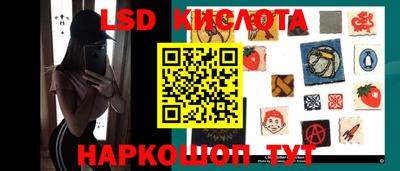 гидра Будённовск