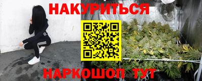 гидра Будённовск