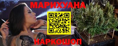 гидра Будённовск