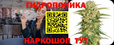 гидра Будённовск