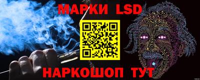 гидра Будённовск