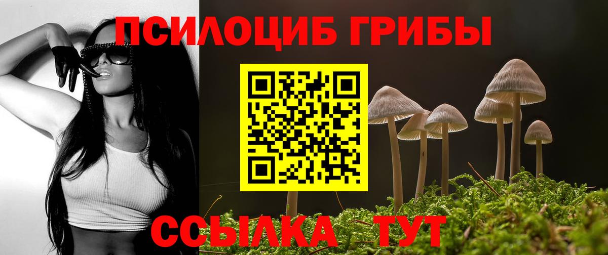 Галлюциногенные грибы Cubensis  Галлюциногенные грибы Psilocybe  Вход с VPN  Луховицы 