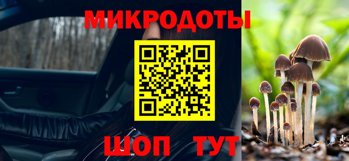 Псилоцибиновые грибы прущие грибы Луховицы